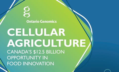Cellular Agriculture: Canada's $12.5 Billion Opportunity in Food Innovation