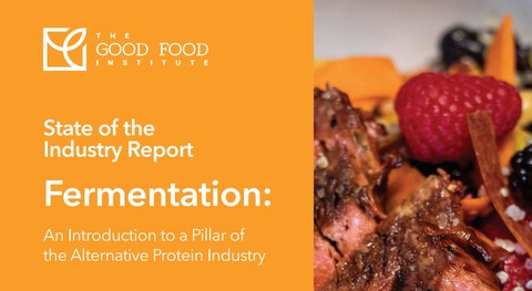 Fermentation: An introduction to a pillar of the alternative protein industry