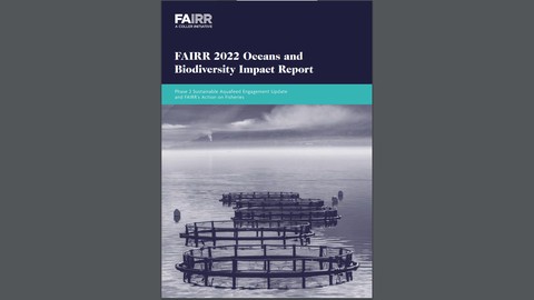 Oceans and Biodiversity Impact: Phase 2 Sustainable Aquafeed Engagement Update and FAIRR’s Action on Fisheries