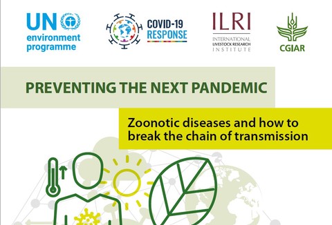 Preventing the next pandemic - Zoonotic diseases and how to break the chain of transmission